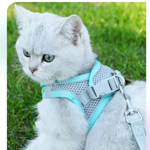 Escape Proof Cat Harness and Leash Set