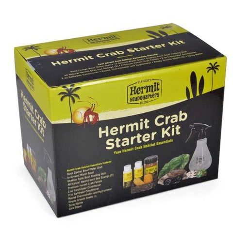 hermit crab; hermit crab starter; hermit crab pet; hermit crabs as pets; hermit crab habitat; hermit crab care; hermit crab food; hermit crab cage; food for hermit crab; cage for hermit crab; hermit crab dead;