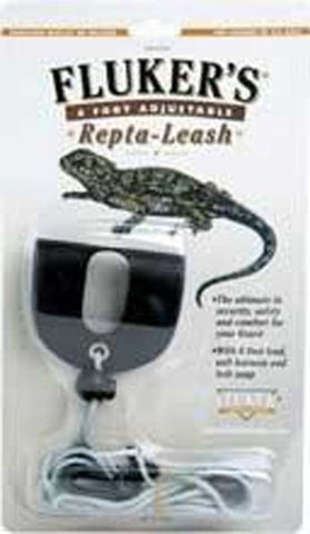 repta-leash, lizard on leash, lizard leashes