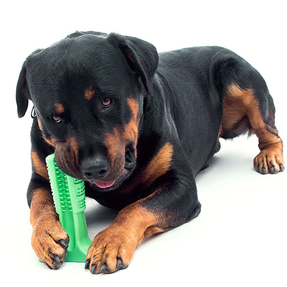 Silicone Pet Toothbrush Stick